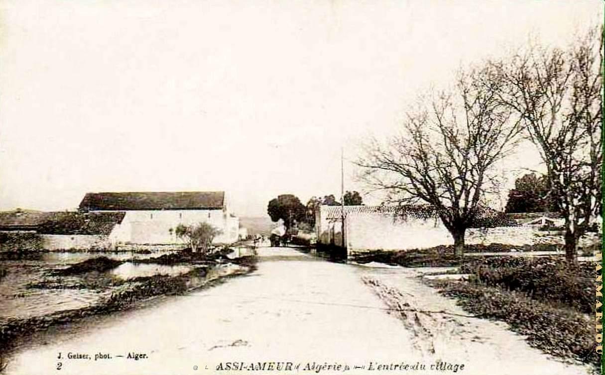 Assi ammeur 100.jpg